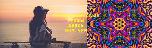 ALPHA PVP Покров