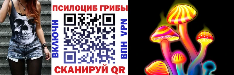 хочу   Ревда  ОМГ ОМГ   Псилоцибиновые грибы GOLDEN TEACHER 