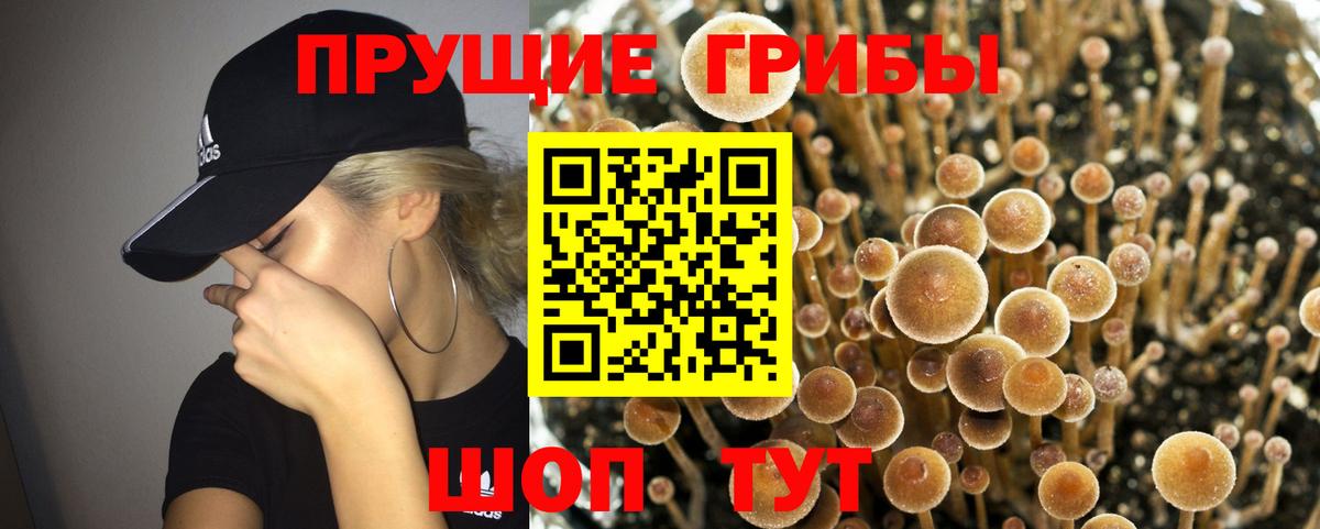 Ревда  Псилоцибиновые грибы GOLDEN TEACHER  Псилоцибиновые грибы Magic Shrooms  Вход с VPN 